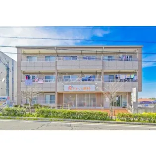 ブラウベルグの画像