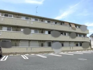 プリムローズの画像