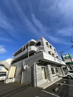 フォンターナSの画像