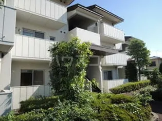 セントビラの画像