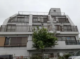 ホワイトレディエンスの画像