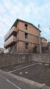 リシアンサス ガーデン ABCDEFの画像