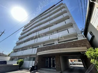 ホワイトドエル道徳の画像