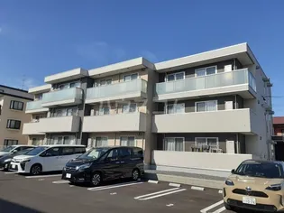 マーガレットの画像