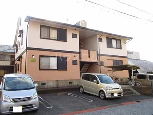 カトレアの画像