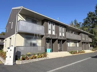 カーサカメリアの画像