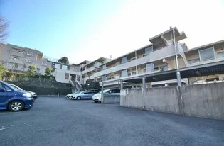 MYT PARACIOの画像