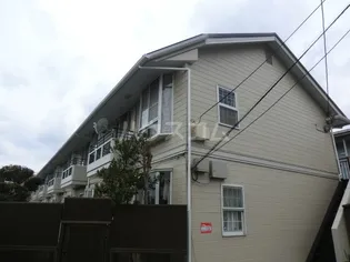 シルクウィングの画像