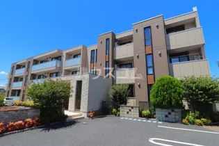 シャルマンの画像