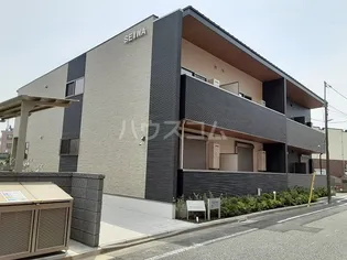 BON MANDARINEの画像