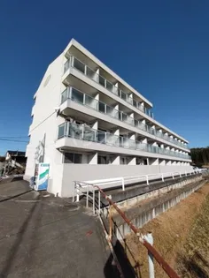 ニューロイヤルスズキの画像