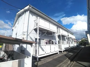 SURPLUS TWO ハピネスの画像