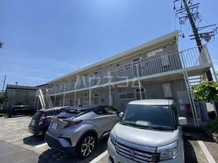 プリムローズ21の画像