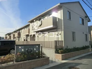 ミント Aの画像