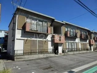 サンフラワーWの画像