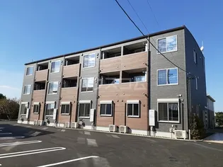 ブランドール樹Ⅲの画像