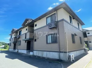 エバーグリーンA Bの画像