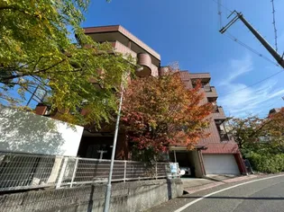 アルテミス三陽【2階】の外観