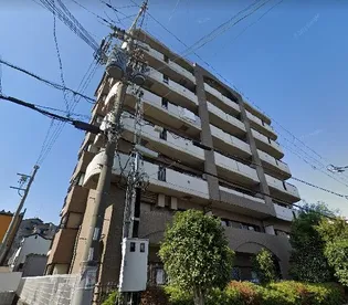 ロイヤル翠の画像