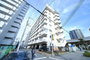 大阪府大阪市淀川区西中島2丁目【マンション】の外観