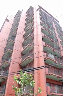 大阪府大阪市東淀川区東中島4丁目【マンション】の外観