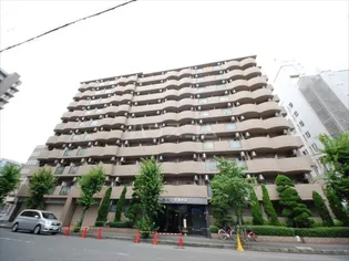 大阪府大阪市淀川区西中島2丁目【マンション】の外観