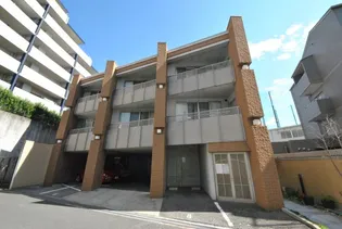 ベラヴィータの画像