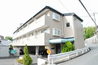 ソルフェリセスの画像