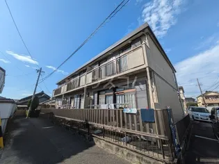 コスモスの画像