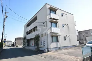 パールコートの画像