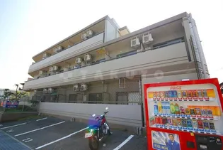 エトワールオークの画像