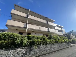 ブルーム21の画像