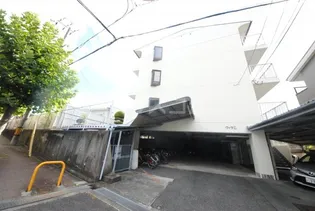 マイシャトレーの画像