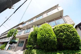 グランドイズミの画像