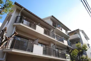 シプレスの画像