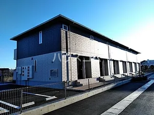 エヴァーグリーンの画像