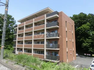 静岡県三島市加茂川町【マンション】の外観