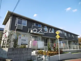 ヴィアノIIIの画像