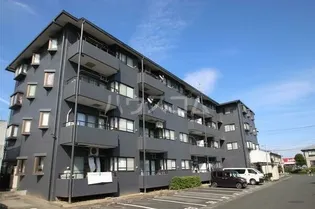 ダイヤモンド寿泉の画像