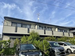 アーブル緑の画像