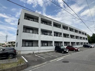 愛知県岡崎市洞町字寺前【アパート】の外観