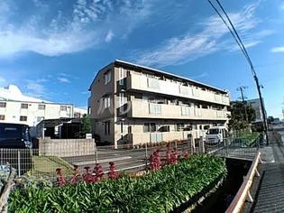 メゾンサフィールの画像