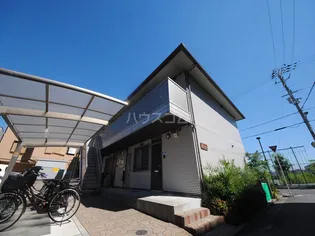 メープルの画像