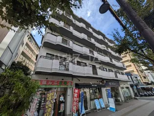 ツインコートヒラタの画像