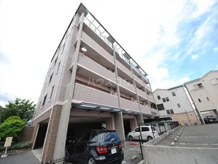 エカミーズJCの画像