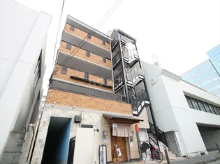 アムズィの画像