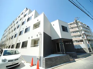 プランドールの画像