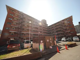 ピュアネスDOIの画像