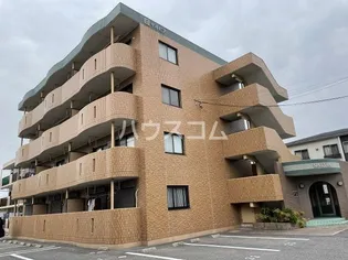 サルビアの画像