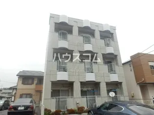 ティカル平針の画像